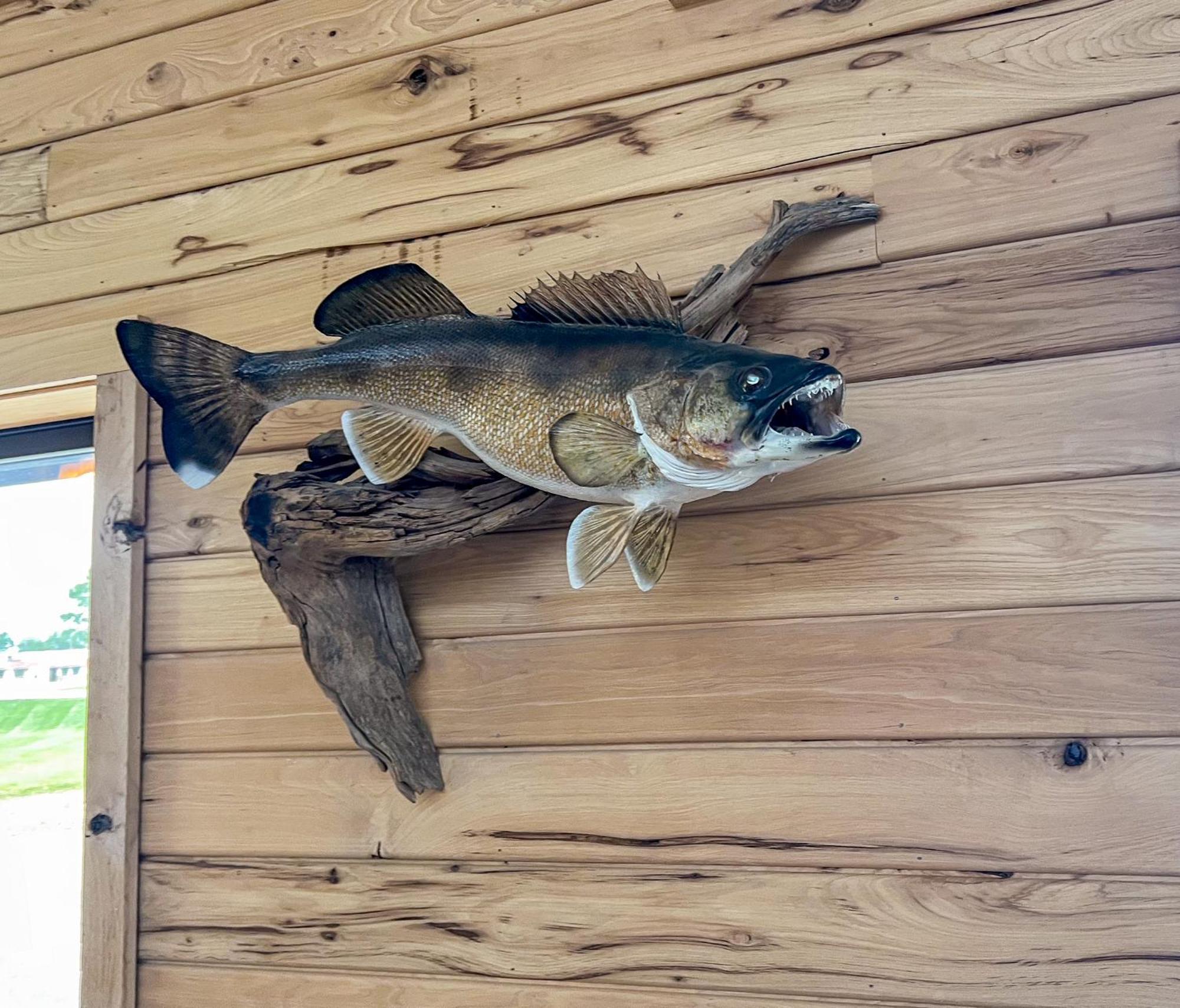 Walleye Inn Baudette Eksteriør bilde
